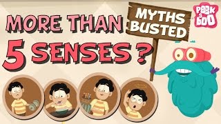 How Many Senses Do We Have  Myths Busted  The Dr Binocs Show  Busting The Myth of 5 Senses [upl. by Ermey6]