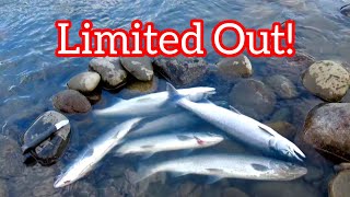 LIMITED Out  Salmon Fishing  Sockeye  BC 🇨🇦 [upl. by Eelahs390]