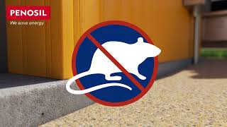 How to protect your home from mice and pests with construction foam [upl. by Baniez]