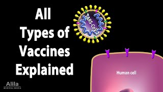 All Types of Vaccines How They Work Animation [upl. by Nofpets652]