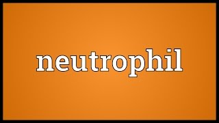 Neutrophil Meaning [upl. by Atnauqahs]