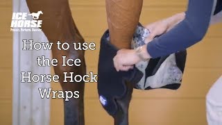 How to use the Ice Horse Hock Wraps [upl. by Woodson]