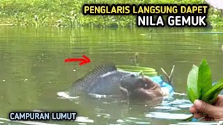 CAMPURAN LUMUT DARI BAHAN ALAMI UNTUK UMPAN MANCING IKAN NILA [upl. by Aizti926]