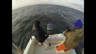 Striper Fishing the Shrewsbury NJ Rocks  Dec 7 2013 [upl. by Hen]