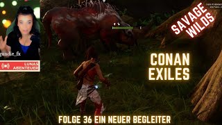 Conan Exiles Savage Wilds Folge 36 ein neuer Begleiter [upl. by Eneleahcim283]