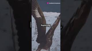 Andean Condor vs Tasmani animalkingdom facts bearconservation arcticanimal trendingnow animal [upl. by Arriet93]