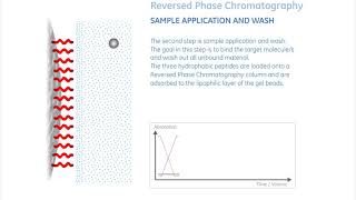 La chromatographie en phase inverse expliquée  Animation GE [upl. by Latsryk]