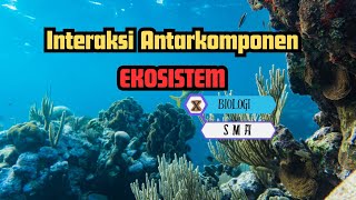 Materi Ekosistem  Interaksi Antarkomponen Ekosistem  Biologi SMA [upl. by Arebma618]