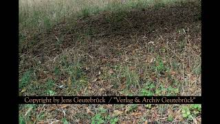 THE GRAVE OF ADAM WEISHAUPT By Jens Geutebrück [upl. by Ynafetse]