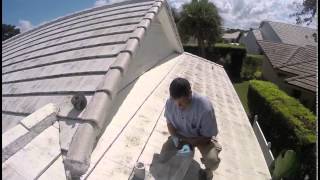 Pest Control  How to RodentProof Your Home  Exterminator in Vero Jupiter  Nozzle Nolen [upl. by Hampton]