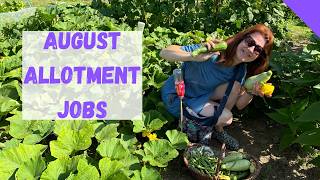 Allotment Jobs For August  Allotment Gardening For Beginners UK [upl. by Ennalorac]