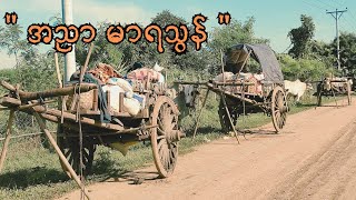 အညာ မာရသွန် [upl. by Ahsirtap652]