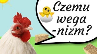 Czemu weganizm  o cierpieniu zwierząt [upl. by Dogs]