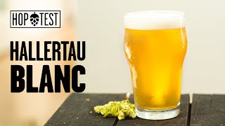 HopTest ep07 Lúpulo Hallertau Blanc [upl. by Ecylla585]