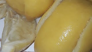 تحضير الحامض المصير أو المرقد بطريقة ناجحة 100\100 citrons confits à la marocaine [upl. by Ainsworth]