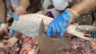 Amazing Fish Cutting Skill l Big Frozen Rohu Fish Cleaning amp Cutting By Fast Cutter In Fish Market [upl. by Lednew522]