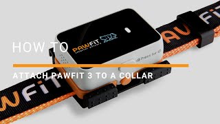 HOW TO Attach Pawfit 3 to a collar [upl. by Enidan450]