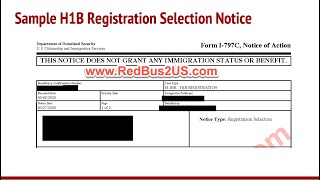 Sample H1B Registration Lottery Selection Notice from USCIS  Filing Dates Transfer Validity Info [upl. by Lira]