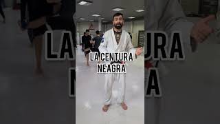 Ce inseamna fiecare centura in BJJ  Jiu Jitsu Brazilian [upl. by Llenrup1]