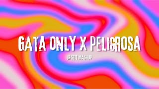 GATA ONLY X PELIGROSA FloyyMenor Jr Stit Mashup [upl. by Ottavia]