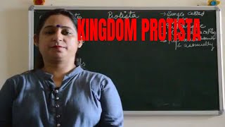 EASY EXPLANATION OF KINGDOM PROTISTA CLASS 11 BIOLOGY  ICSE ISC CBSE NEET Board exams [upl. by Narhem]