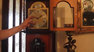 Vintage Longcase Tempus Fugit Clock with Westminster Chimes [upl. by Holton84]