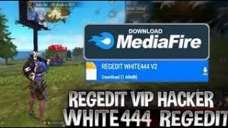 PAID REGEDIT FREE FIRE PC  HEADSHOT REGEDIT FOR ALL EMULATORS  FREE FIRE RECOIL FIX REGEDIT [upl. by Lodhia]