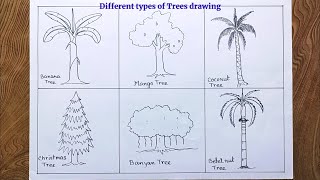 How to draw different types of trees step by step so easy for beginners [upl. by Babbette]