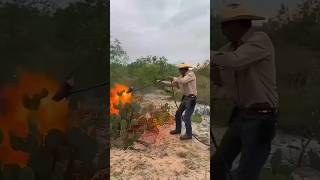 How Cactus Becomes Food for Cattle in the Desert cactus desert telugufacts shorts telugunews [upl. by Buffo617]