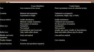 Difference between conus medullaris amp cauda equina [upl. by Handy]