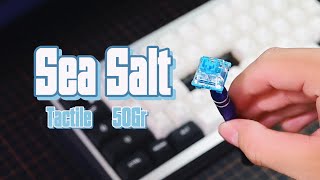 Sea Salt Tactile Switches Sound Test mechanicalkeyboard [upl. by Huskey722]