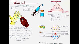 Tetanus Clostridium tetani  Microbio Symptoms Diagnosis Treatment Prevention etc [upl. by Anana]