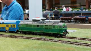 XV Ogólnopolska Wystawa Modeli Iława 2024 train modeltrains modelarstwo piko kolej [upl. by Constance40]