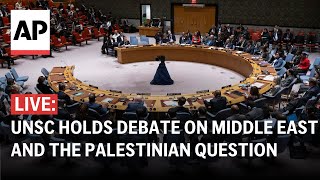 LIVE UN Security Council holds debate on Middle East Palestinian question [upl. by Eikcuhc]