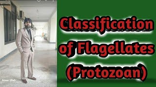 Lec2 Classification of Flagellates Protozoan  Hemofalgellates  Intestinal falgellate urduHindi [upl. by Naugal928]