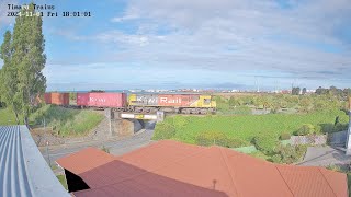 Timaru Trains 20241101 [upl. by Gnuh]