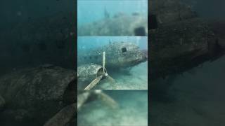 Navy Discovered Plane Inside Ocean story [upl. by Baldridge]