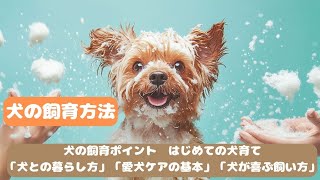 犬の飼育方法の紹介 [upl. by Mirth370]