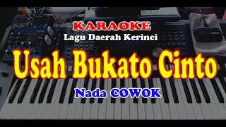 USAH BUKATO CINTO  KARAOKE  NADA COWOK [upl. by Ano]