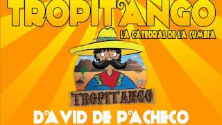 ♥TROPITANGO♥  Vienes y te vas [upl. by Cigam]