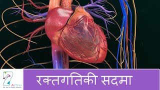 रक्तगतिकी सदमा  Shock Hemodynamics  Hindi [upl. by Ettenig431]