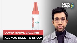 Covid Nasal Vaccine Everything You Need To Know [upl. by Vasquez]