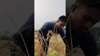 Krishna vlogger kisana cgkisan trending shorts vlogger funny viralvideo comedy song [upl. by Polinski]