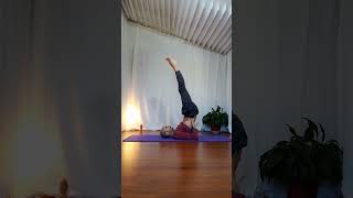 HalasanaSarvangasana mindset yogaforfitness mobility yogaasana [upl. by Brunn]