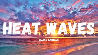 Glass Animals  Heat Waves Lyrics [upl. by Brunhilda350]