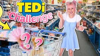 Lohnt sich TEDi 🤔 Shopping Challenge  ViktoriaSarina [upl. by Oinotla]