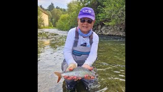 Flyfishing the Ljubljanica River Slovenia  9124 [upl. by Ahsuoj536]