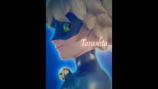 Miraculous Cat noir lyrics song mere mehboob viralvideo miraculous catnoir [upl. by Jadda]