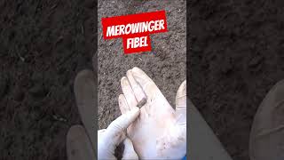 Merowinger Fibel metaldetecting treasurehunting sondeln merovingian fibula [upl. by Urissa]