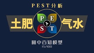 思维模型15 PEST分析 [upl. by Boyd398]